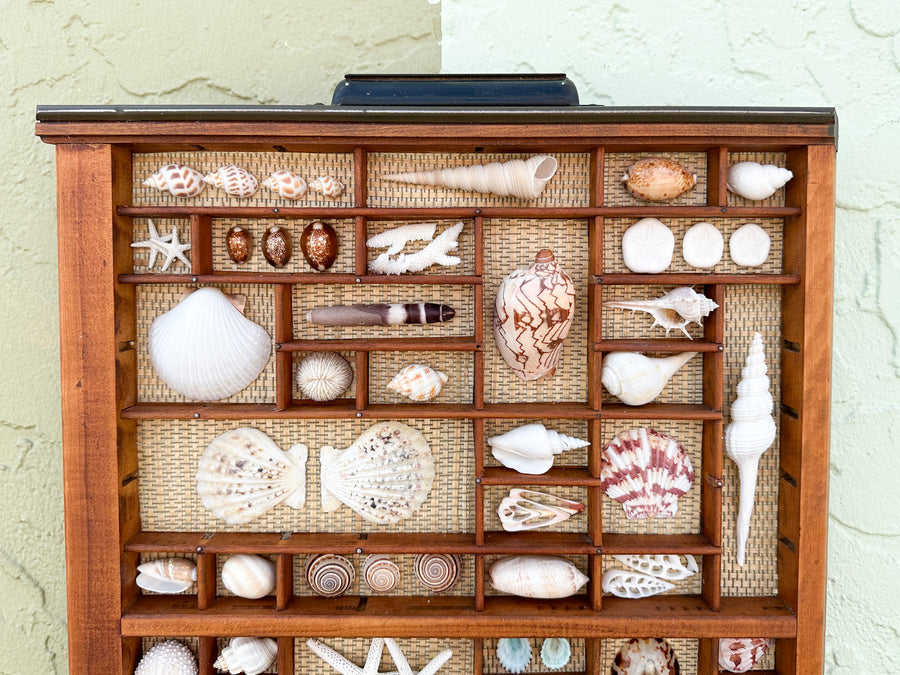 Printers Tray Shell Display