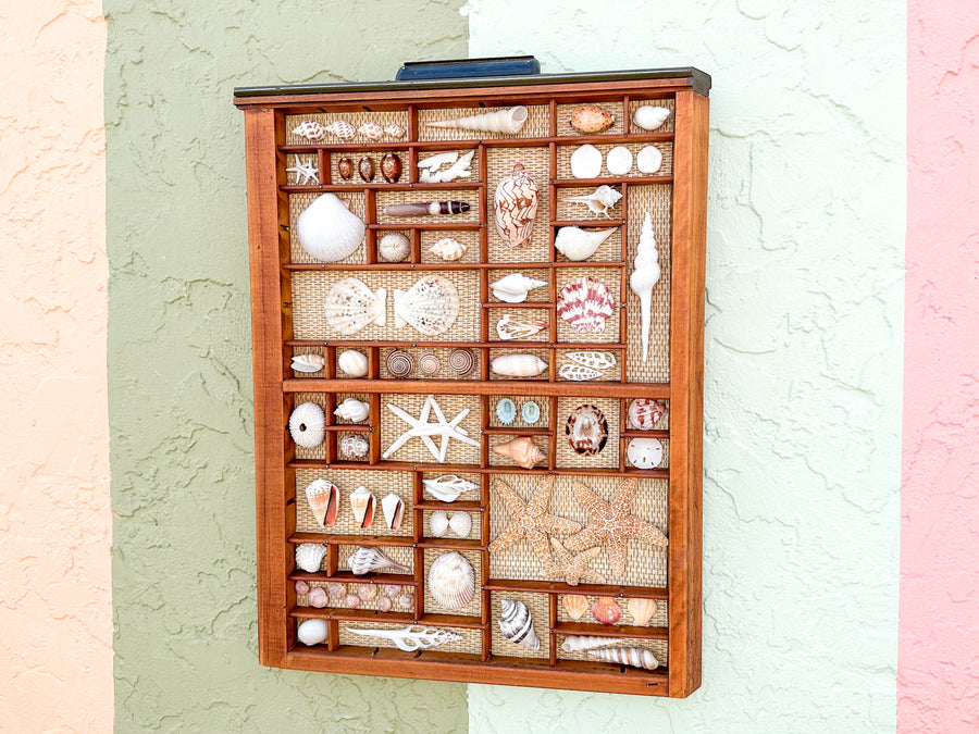 Printers Tray Shell Display