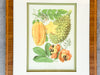 Pair of Colorful Fruit Framed Prints