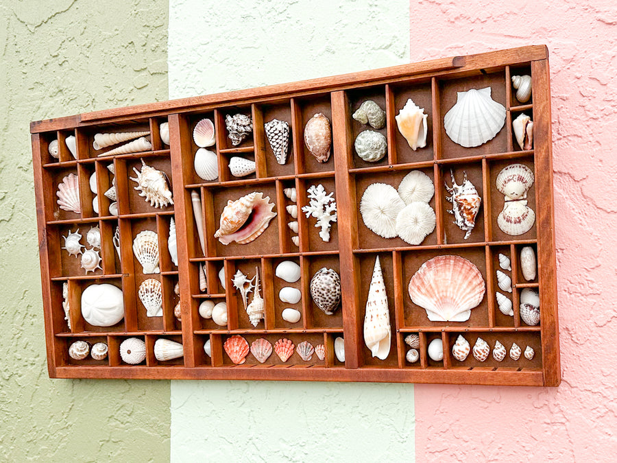 Printers Tray Shell Display