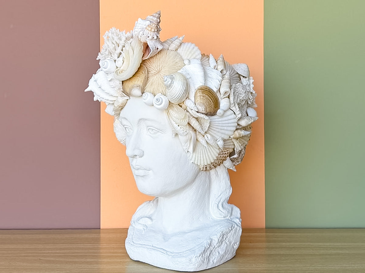 Custom Large Shell Bust