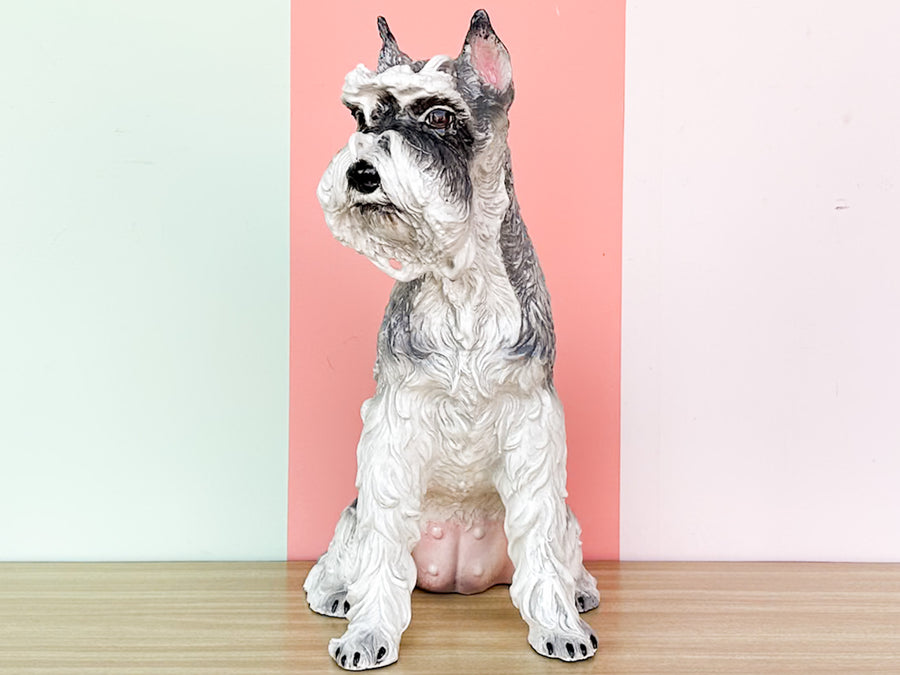Darling Schnauzer by the Townsends