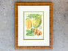 Pair of Colorful Fruit Framed Prints