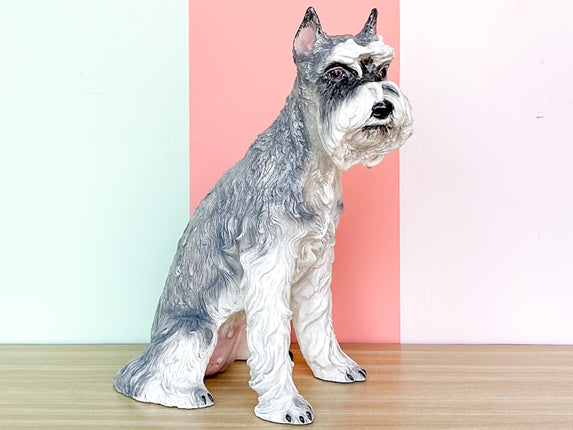 Darling Schnauzer by the Townsends