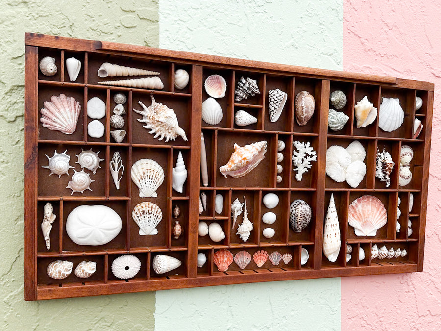 Printers Tray Shell Display