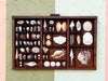 Large Printers Tray Shell Display