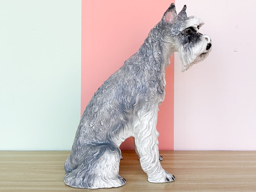 Darling Schnauzer by the Townsends