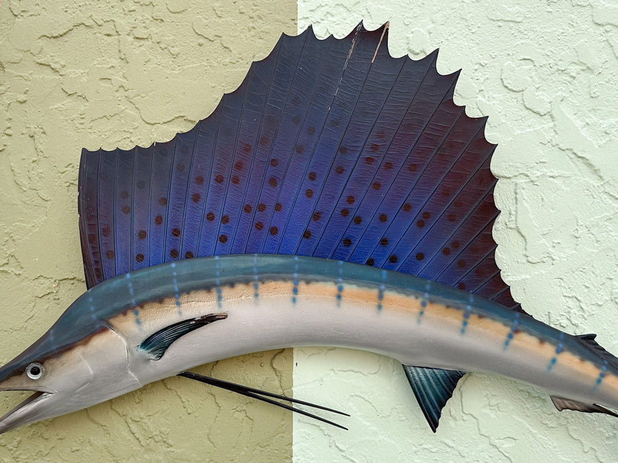Petite Tag and Release Mounted Sailfish