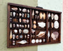 Large Printers Tray Shell Display