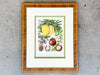 Pair of Colorful Fruit Framed Prints