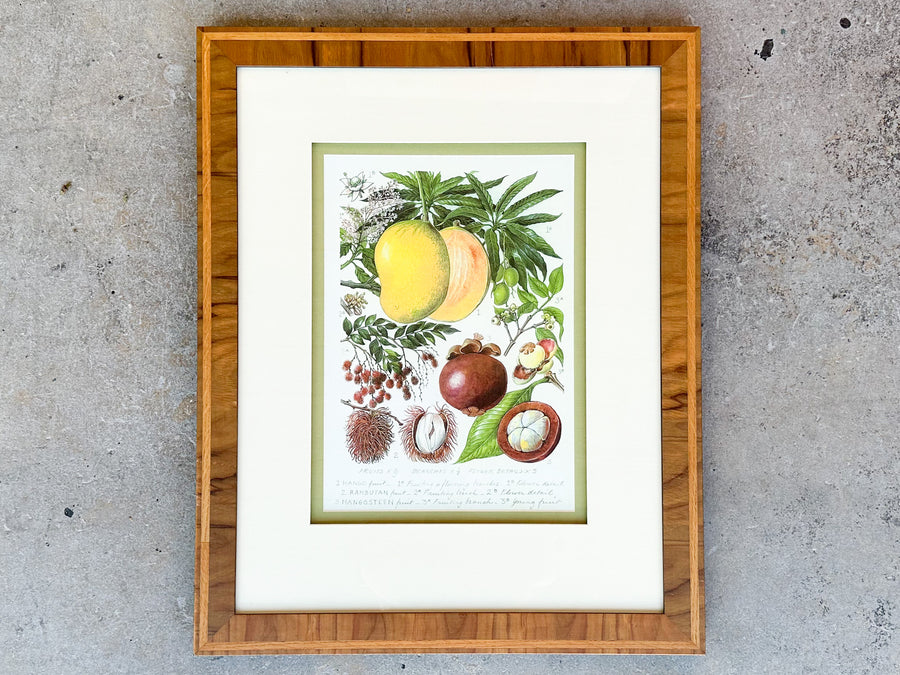 Pair of Colorful Fruit Framed Prints