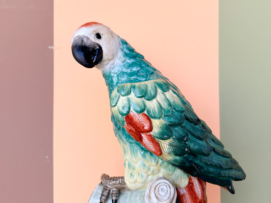 Pair of Stunning Chelsea House Parakeets
