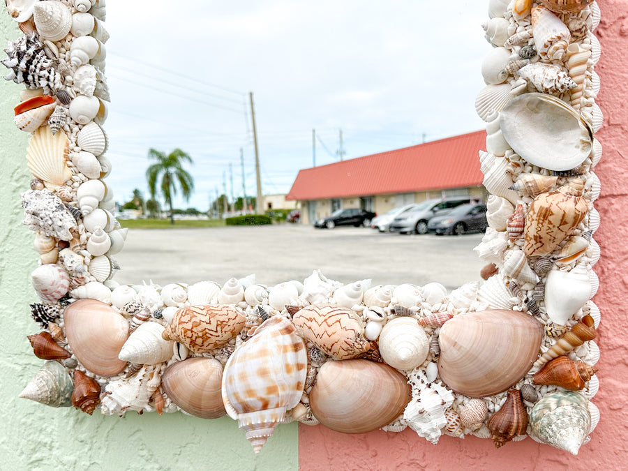 Coastal Chic Shell Mirror