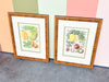 Pair of Colorful Fruit Framed Prints