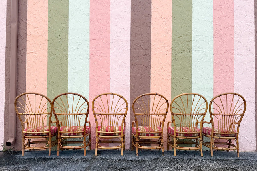 Set of Six Balloon Back Rattan Dining Chair