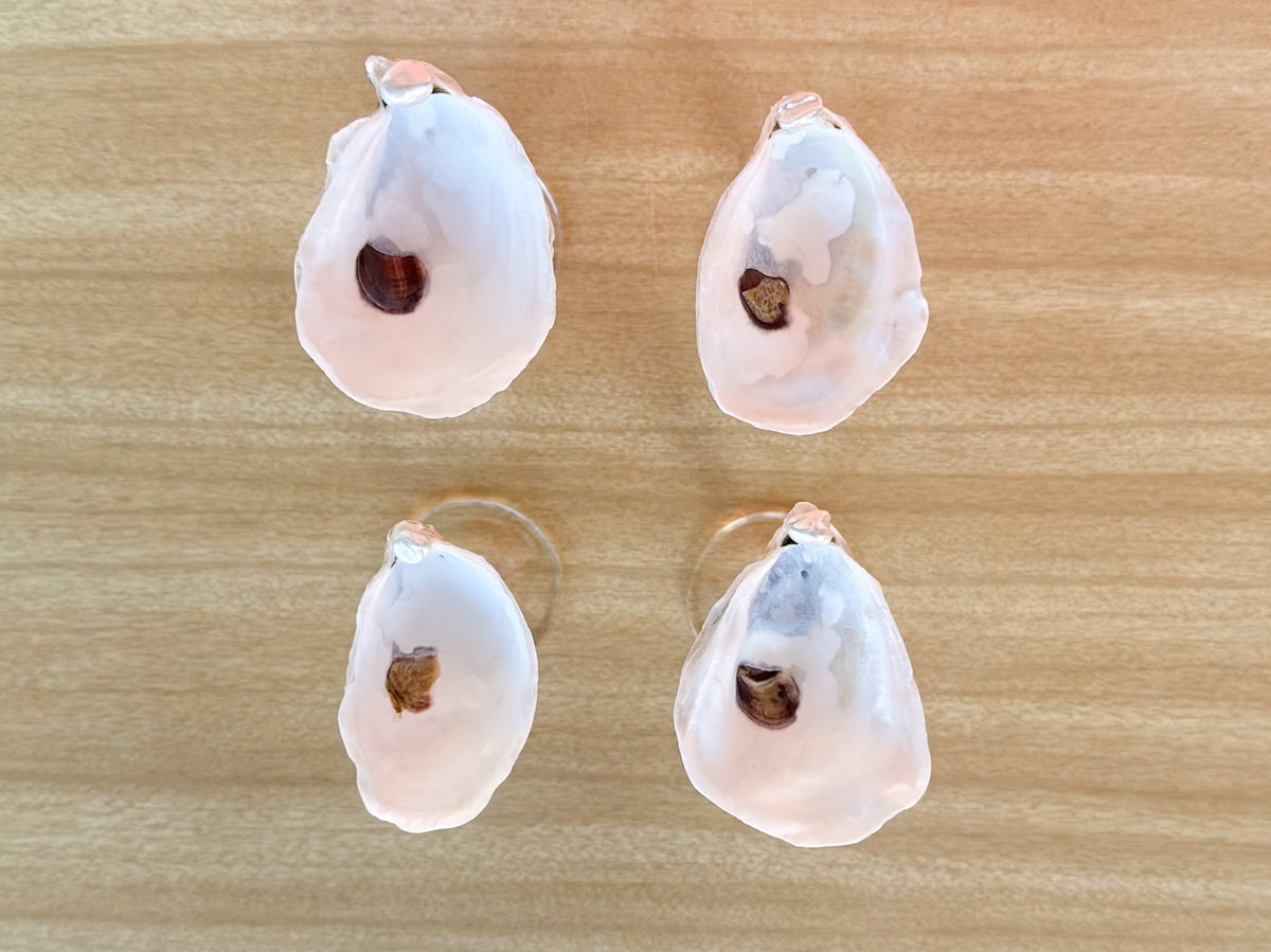 Set of Four Oyster Shell Shooters
