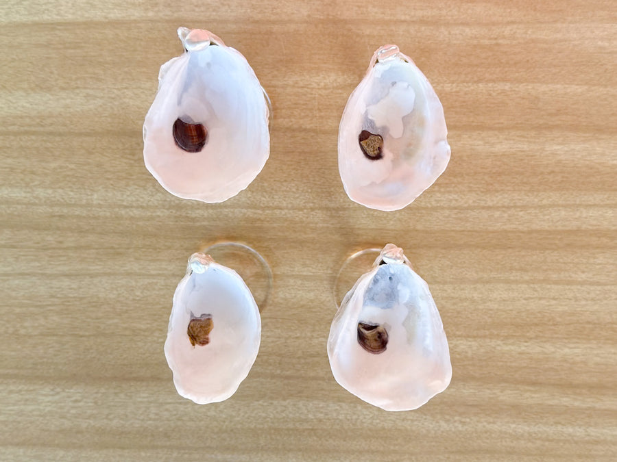 Set of Four Oyster Shell Shooters