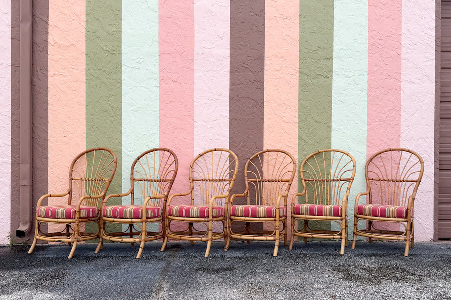 Set of Six Balloon Back Rattan Dining Chair