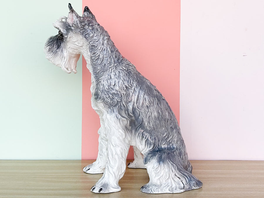 Darling Schnauzer by the Townsends