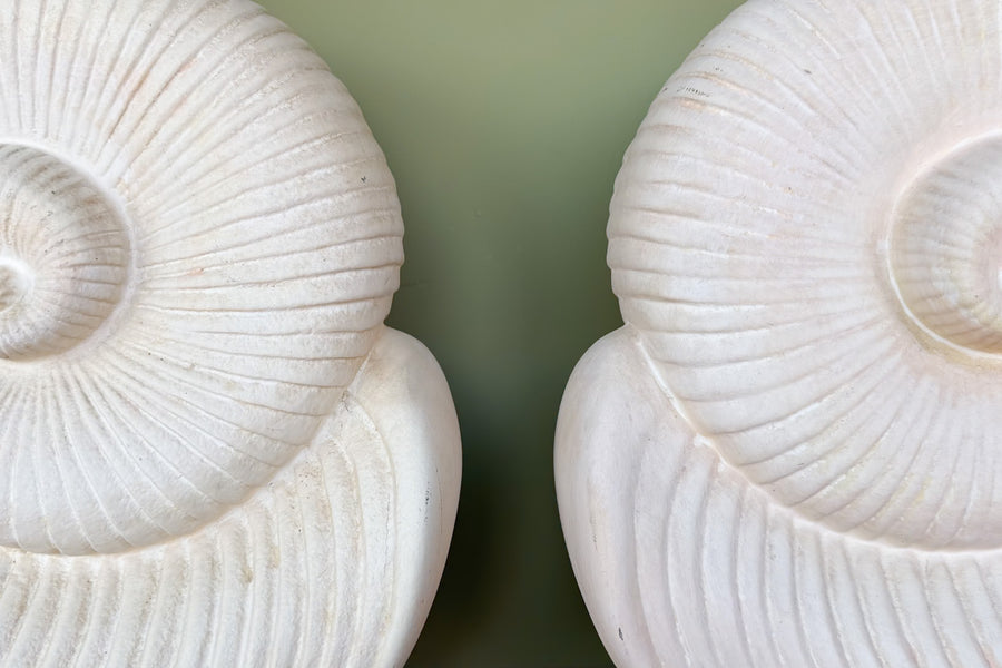 Pair of Old Florida Nautilus Lamps