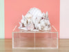 Fabulous Lucite Shell Box