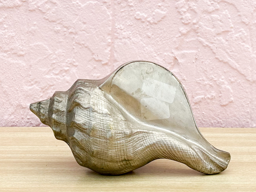 Brass Nautilus Shell