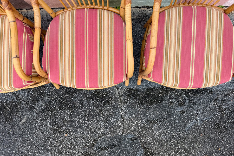 Set of Six Balloon Back Rattan Dining Chair