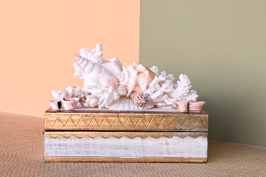 Shell Chic Trinket Box