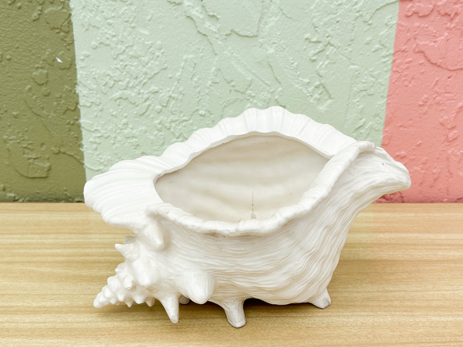 Cream Conch Shell Cachepot