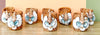 Set of Eight Shellegance Napkin Rings