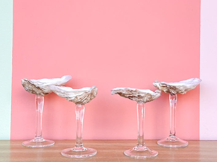 Set of Four Oyster Shell Shooters