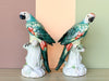 Pair of Stunning Chelsea House Parakeets