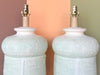Pair of Seafoam Plaster Basket Lamps