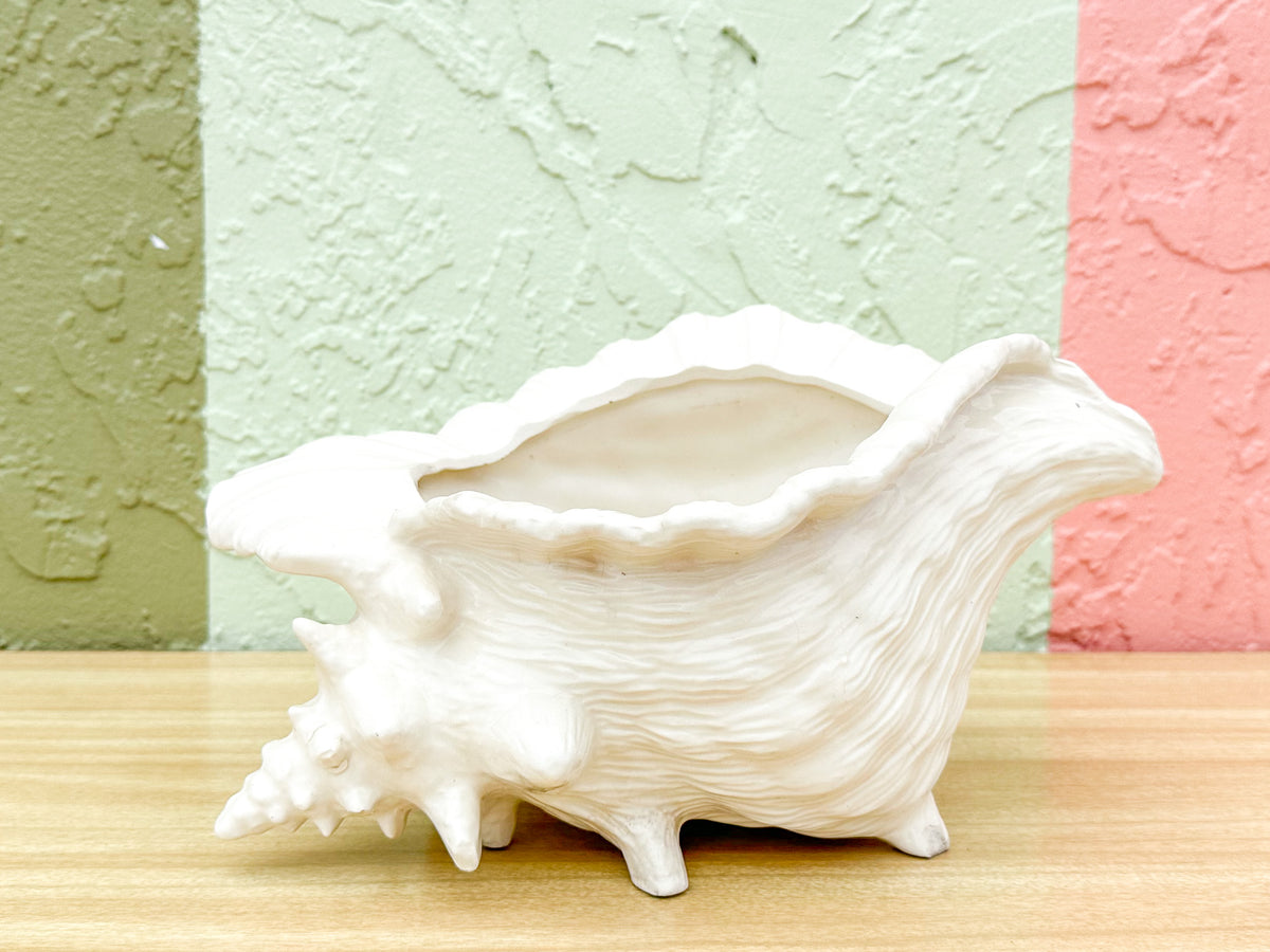 Cream Conch Shell Cachepot