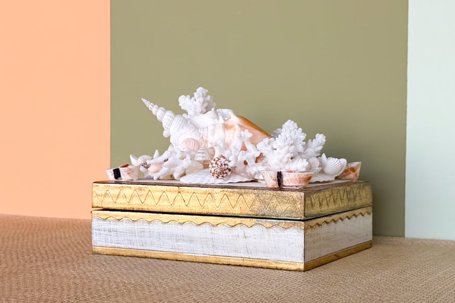 Shell Chic Trinket Box