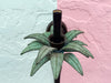Pair of Palm Tree Wall Sconces