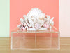 Fabulous Lucite Shell Box