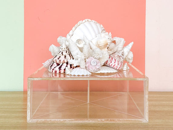 Fabulous Lucite Shell Box