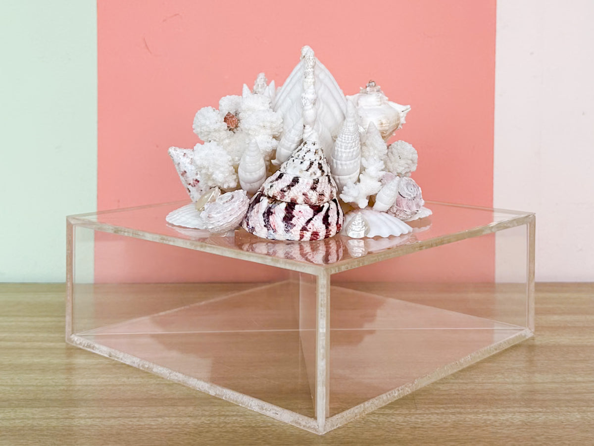 Fabulous Lucite Shell Box