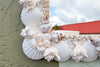 Custom White Shell Chic Mirror