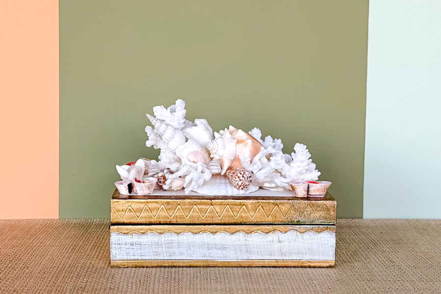 Shell Chic Trinket Box