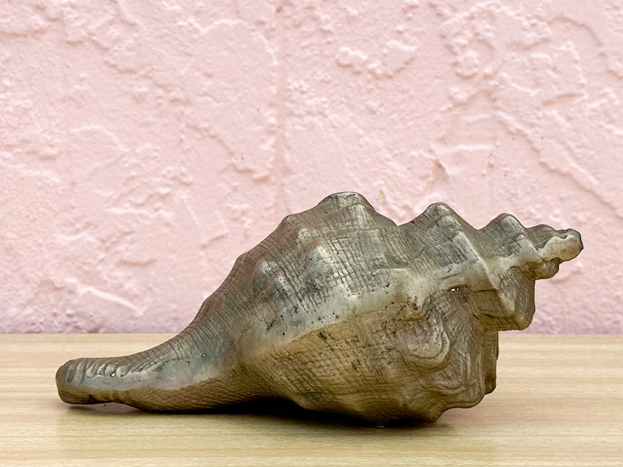 Brass Nautilus Shell