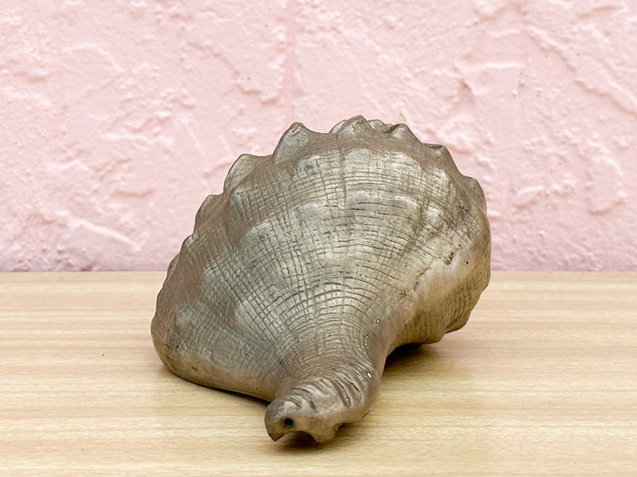 Brass Nautilus Shell