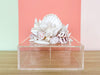 Fabulous Lucite Shell Box