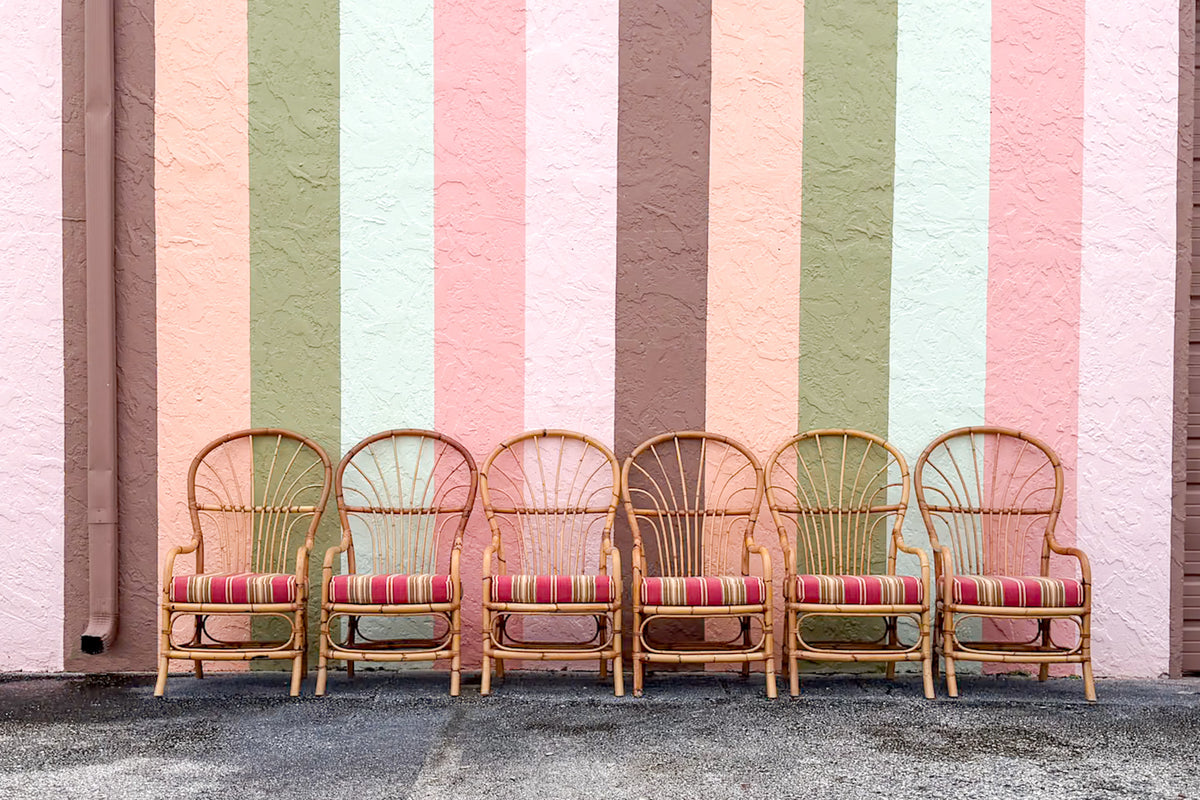Set of Six Balloon Back Rattan Dining Chair