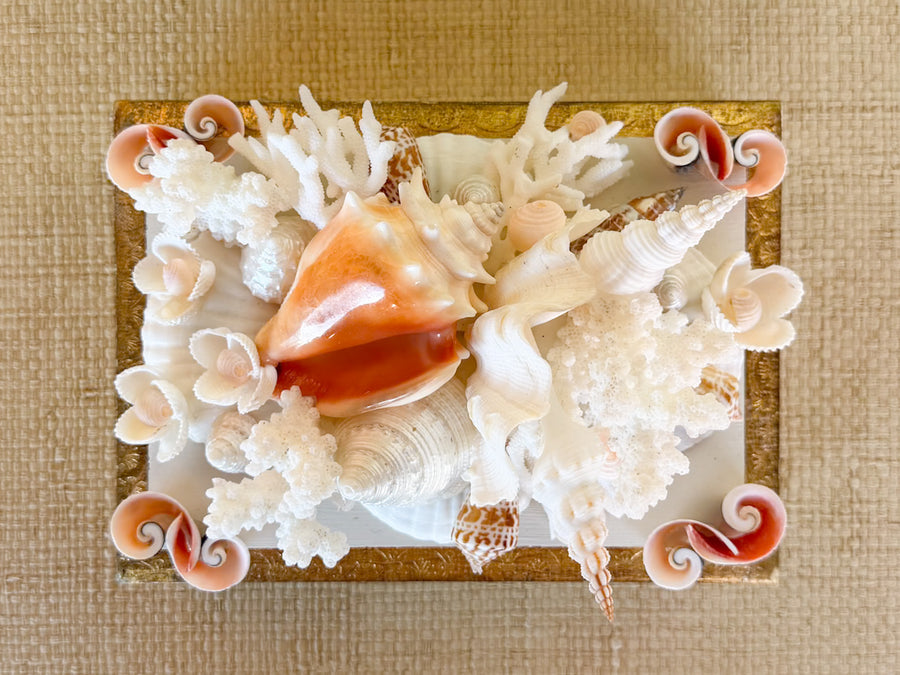 Shell Chic Trinket Box