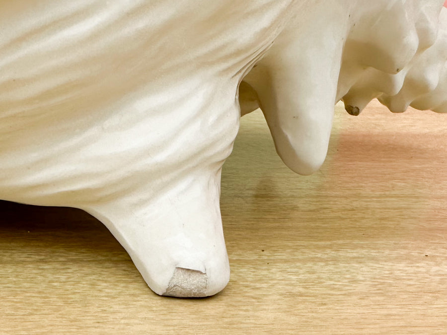 Cream Conch Shell Cachepot