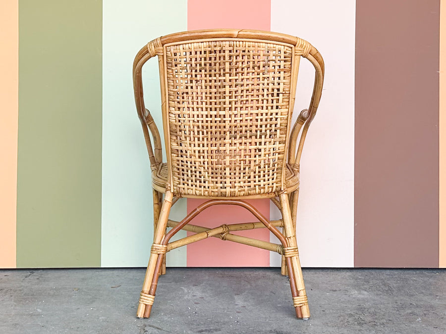 Island Style Rattan Arm Chair