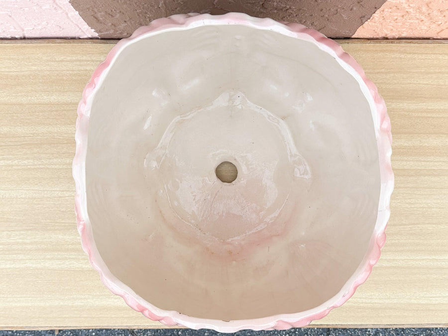 Large Pink Shellegance Cachepot