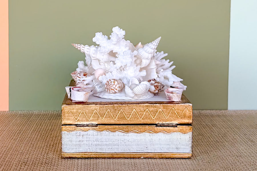 Shell Chic Trinket Box